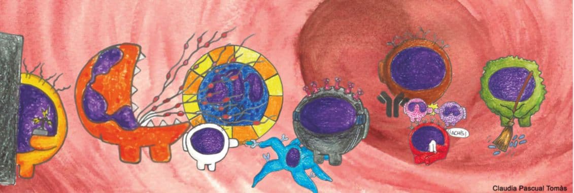 Conferences & Publications